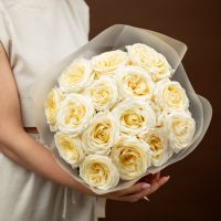 Пионовидная роза 15 шт