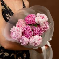Пионы 9 шт  розовые