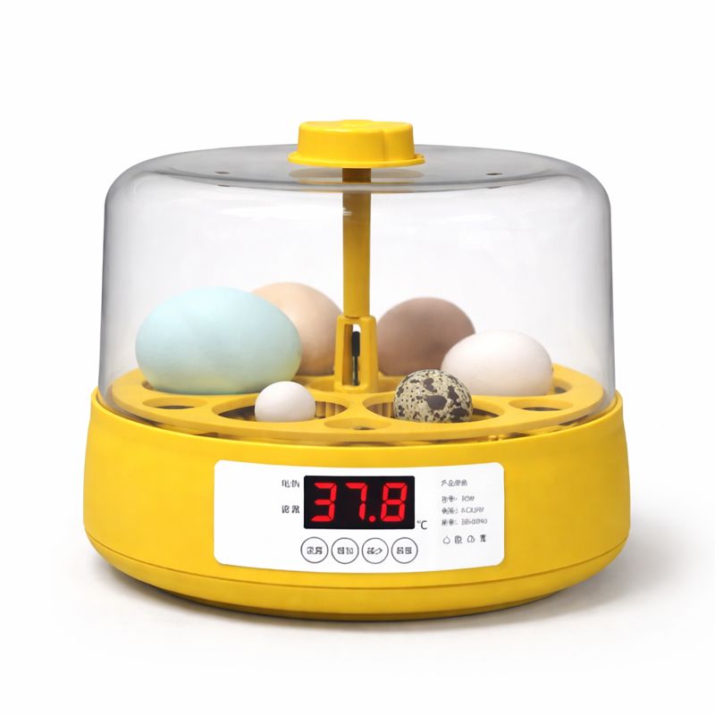 Мини-инкубатор на 6 куриных яиц со встроенным овоскопом
