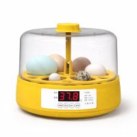 Мини-инкубатор на 6 куриных яиц со встроенным овоскопом