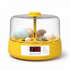 Мини-инкубатор на 6 куриных яиц со встроенным овоскопом