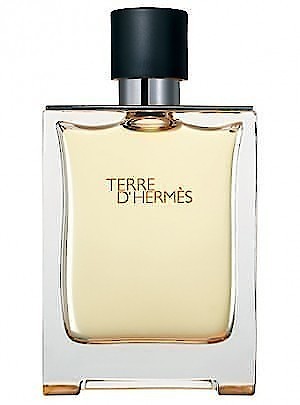 HERMES TERRE D'HERMES туалетная вода (мужские) 100ml