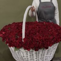 501 красная роза в корзине / только по предзаказу за 3 дня и более/
