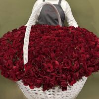 501 красная роза в корзине / только по предзаказу за 3 дня и более/