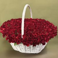 501 красная роза в корзине / только по предзаказу за 3 дня и более/