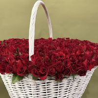 501 красная роза в корзине / только по предзаказу за 3 дня и более/