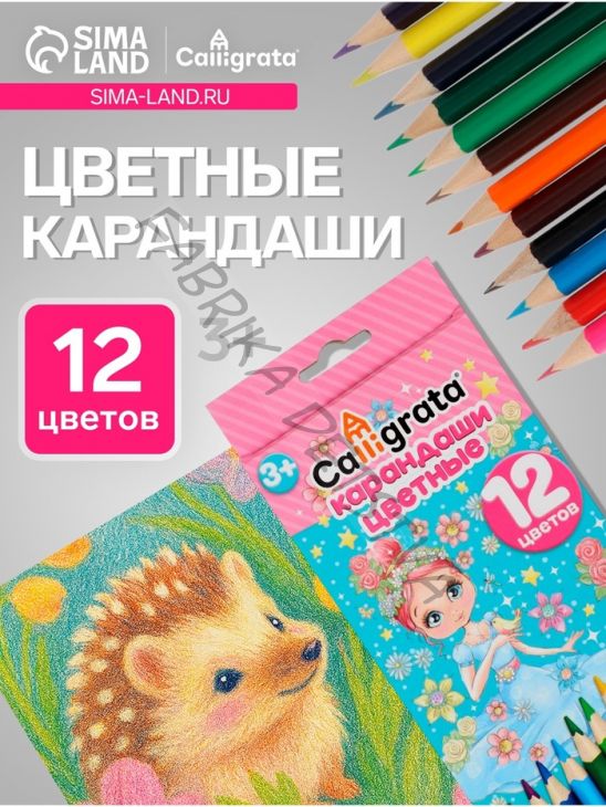 Карандаши Calligrata «Принцесса», цветные, 12 цветов, деревянные, трёхгранные