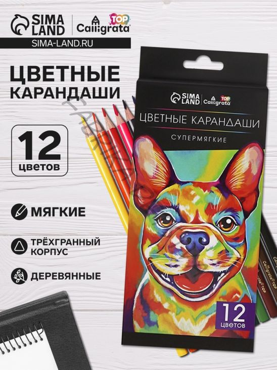 Карандаши Calligrata, 12 цветов, супермягкие, диаметр грифеля 3 мм