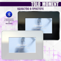 Парогенератор Steamtec TOLO MOMENT 120 - 12 кВт