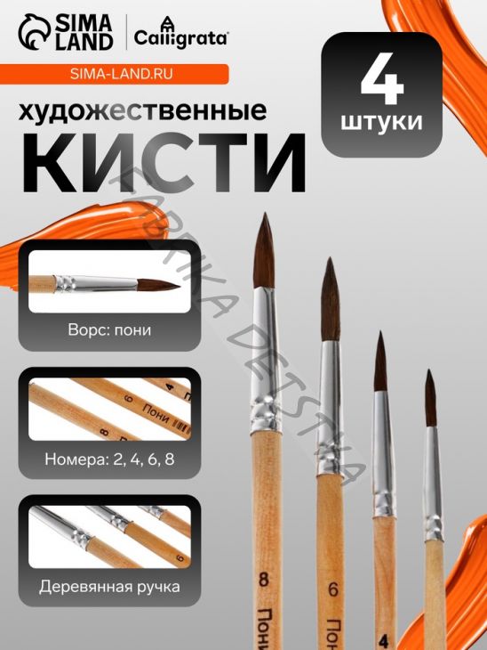 Набор кистей для рисования, пони, 4 штуки: № 2, 4, 6, 8, круглые, деревянная ручка, международный размер