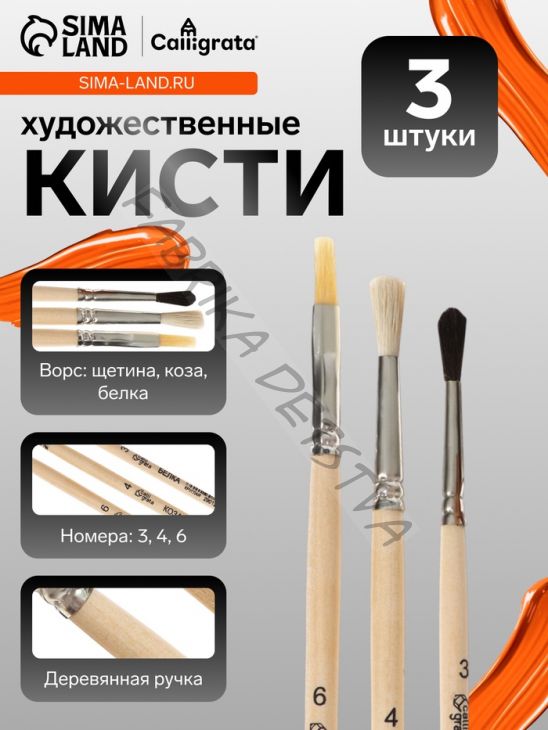 Набор кистей для рисования, белка, коза, щетина, 3 штуки: № 3, № 4 (круглые), № 6 (плоская), Calligrata, круглые, плоская, деревянная ручка, в пакете