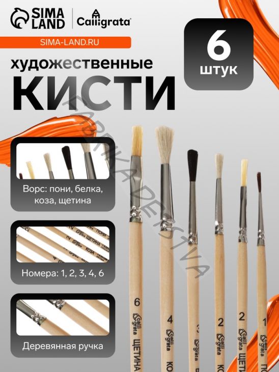 Набор кистей для рисования, пони, белка, коза, щетина, 6 штук: № 1, 2, 2, 3, 4, 6, Calligrata, круглые, плоские, ЭКОНОМ
