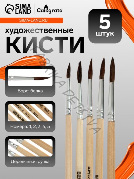 Набор кистей для рисования, белка, 5 штук: № 1, 2, 3, 4, 5, круглые, деревянная ручка, международный размер
