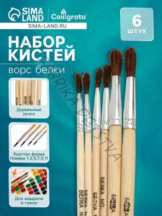Набор кистей для рисования, белка, 6 штук: № 1, 3, 5, 7, 9, 11, круглые, деревянная ручка, международный размер