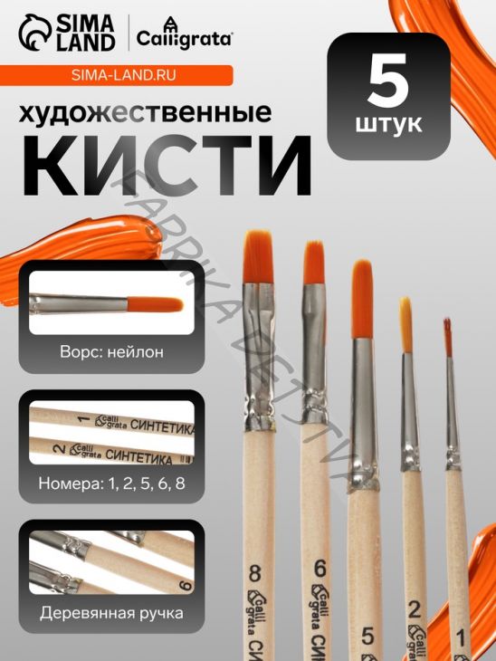 Набор кистей для рисования, синтетика, 5 штук: №: 1, 2, 5 (круглые), № 6, 8 (плоские), Calligrata, круглые, плоские, деревянная ручка, в пакете