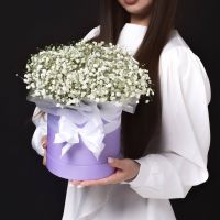 Белая гипсофила в коробке