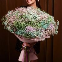 Гипсофила радужная 101 шт