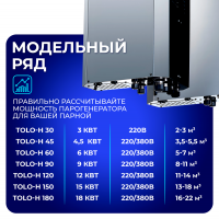Парогенератор Steamtec TOLO H 90 - 9 кВт, 220/380В, вертикальный