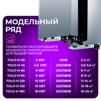 Парогенератор Steamtec TOLO Н 120 -12 кВт, 220/380В, вертикальный