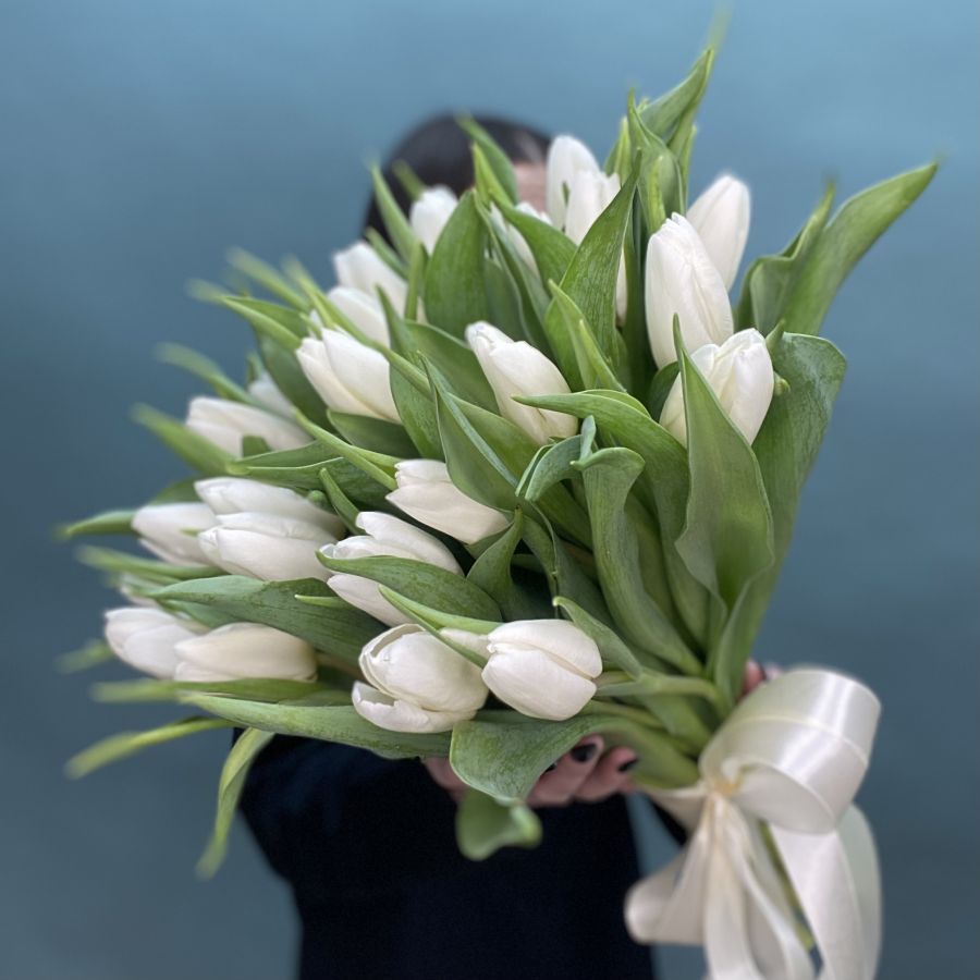 25 белых тюльпанов