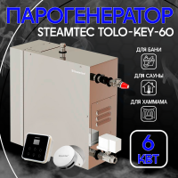 Парогенератор Steamtec TOLO KEY 60 - 6 кВт
