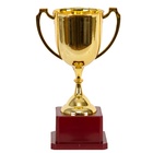 1507-1723 Кубок чемпиона 19см