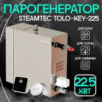 Парогенератор Steamtec TOLO KEY 225 - 22,5 кВт