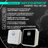 Парогенератор Steamtec TOLO KEY 225 - 22,5 кВт