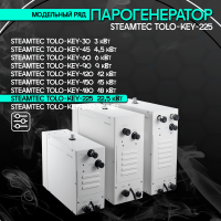 Парогенератор Steamtec TOLO KEY 225 - 22,5 кВт