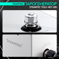 Парогенератор Steamtec TOLO KEY 225 - 22,5 кВт