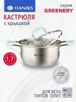 Кастрюля нержавеющая сталь, 1.7 л, крышка стекло, силиконовые ручки мятные, Daniks, Гринери, SD-23-16, индукция