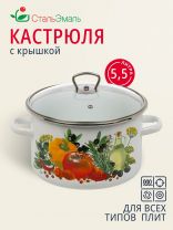 Кастрюля эмалированная сталь, 5.5 л, крышка стекло, цилиндрическая, СтальЭмаль, Европейская кухня, 1RD221S, индукция