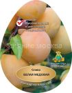 Sliva-Belaya-medovaya-podvoj-semennoj-alycha-1-sht-Poisk