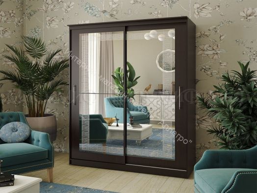 Шкаф-купе Элегант №5 2,0 м Ясень шимо тёмный