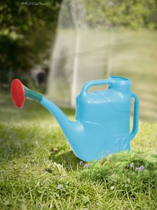 Лейка садовая, пластик, 12 л, с распылением, в ассортименте, Радиан, Дачная