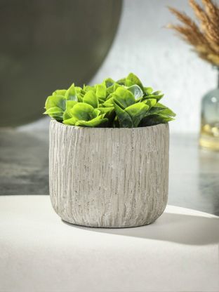 Кашпо керамика, 0.5 л, 11х11 см, Шлейф, Y4-3087