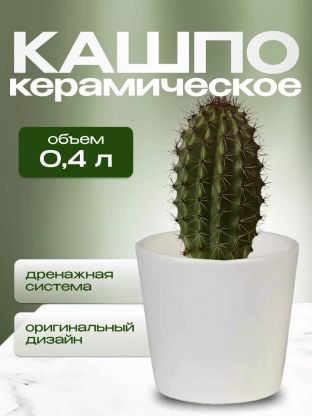 Кашпо керамика, 0.4 л, 10х9 см, конус, Белый, 633635