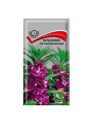 Семена Цветы, Бальзамин, Том Самб фиолетовый, 0.1 г, цветная упаковка, Поиск