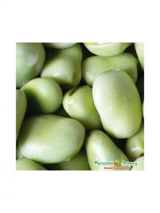 Семена Бобы, Белорусские, 10 г, овощные, цветная упаковка, Седек