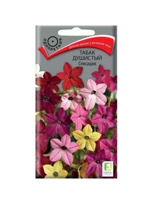 Семена Цветы, Табак душистый, Сенсация, 0.25 г, цветная упаковка, Поиск