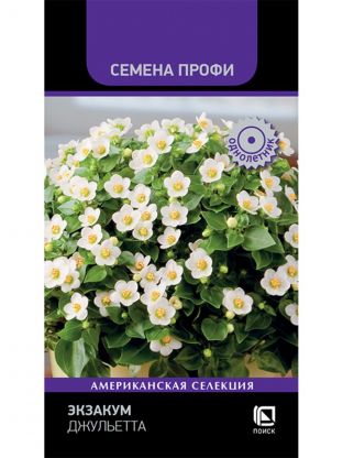 Семена Цветы, Экзакум, Джульетта, 5 шт, цветная упаковка, Поиск