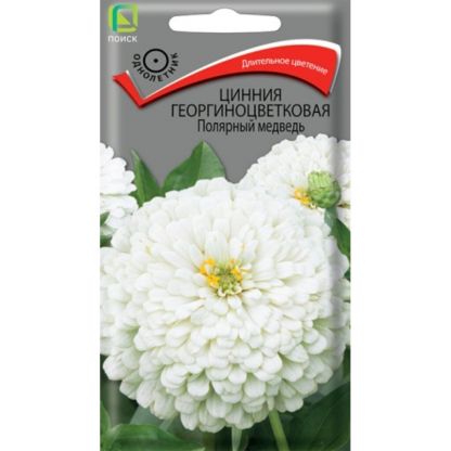 Семена Цветы, Цинния, Полярный медведь, 0.4 г, георгиноцветковая, цветная упаковка, Поиск