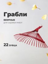 Грабли веерные, 22 зуб, металл, 40 см, пластинчатые, окрашенные, ГВ-Л