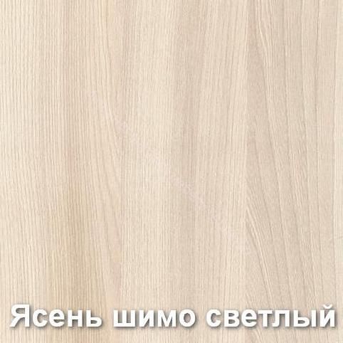 Шкаф-купе Маэстро (1,70 м) Ясень шимо тёмный/Ясень шимо светлый