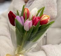 Букет из 7 разноцветных тюльпанов в прозрачной пленке