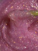 "METAMORPHOSIS" 04 гель моделирующий с блестками