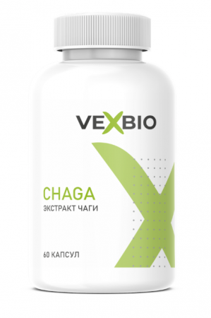 VEXBIO CHAGA (Чага)