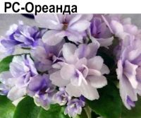 РС-Ореанда