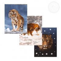 Набор полотенец из рогожки "Раджа" (3шт.)