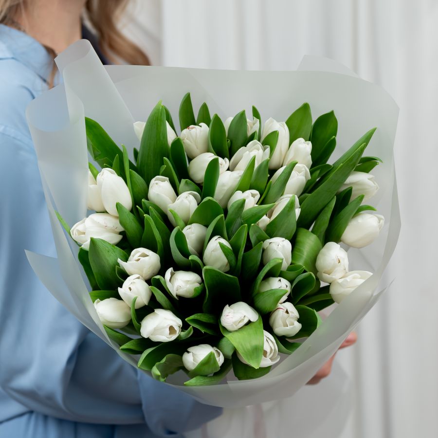Тюльпаны белые 35шт